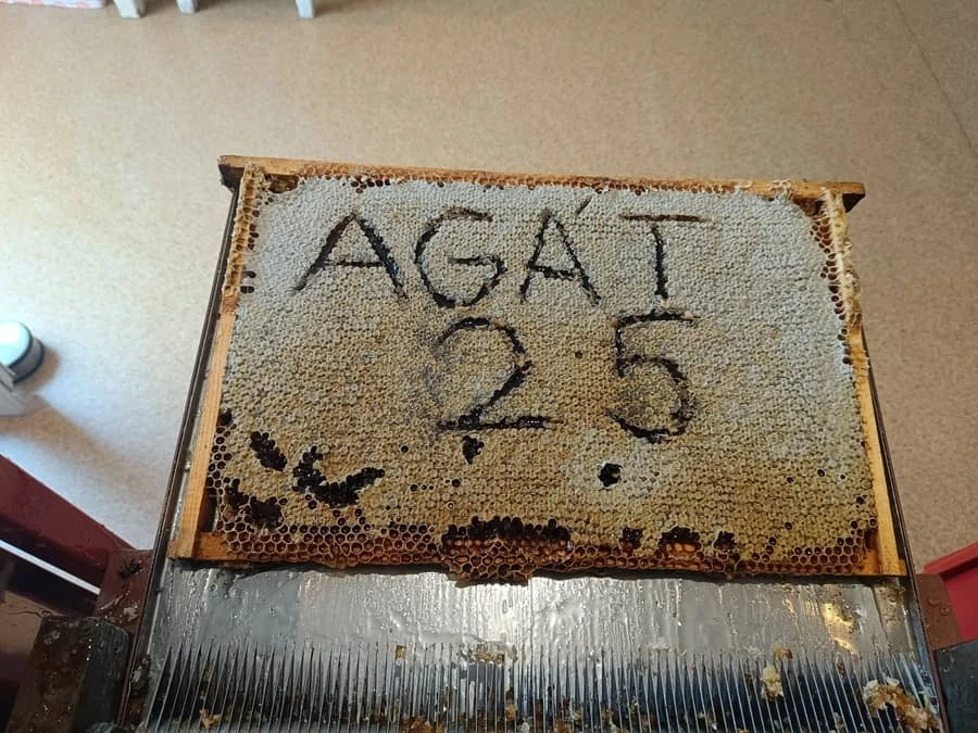 Agátový med 950g